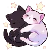 🐱
