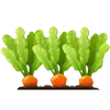 🥕