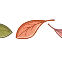 🍁