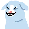 🐩