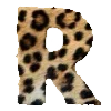 🐆