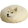 🫠
