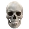 💀