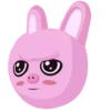 🐷