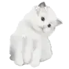 🐈‍⬛