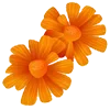 🌼