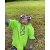 😎