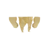 👣