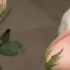 🤩