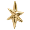 🌟