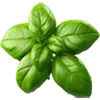 🌱