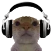 🎧