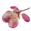 🌸