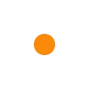 🟠