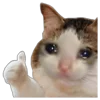 👍