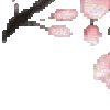 🌸