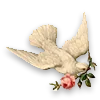 🕊