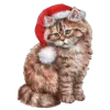 🐈