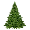 🌲