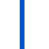 🔹