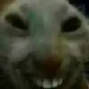 😂