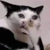 😭