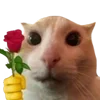 🌹