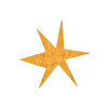 🌟