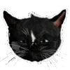 🐈‍⬛