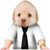 😎