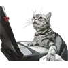 💻