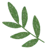 🌿