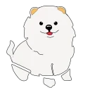 🐶