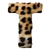 🐆