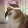 😇