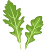 🌿
