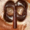 🍪