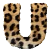 🐆