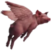 🐷