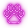 🐾