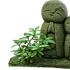 🌿