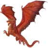 🐲