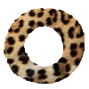 🐆