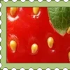 🍓