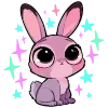 🐰