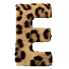 🐆