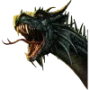 🐲