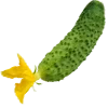 🥒