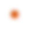 🟠