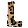 🐆